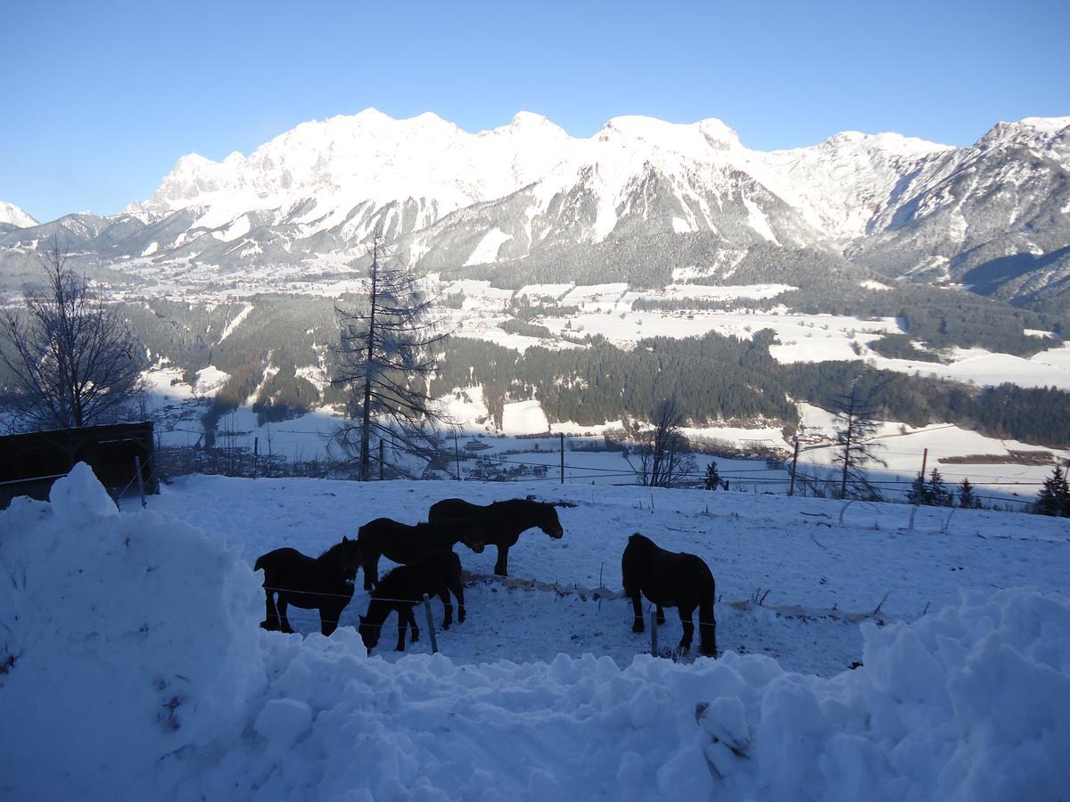 Asingerhof Hotell Schladming Exteriör bild